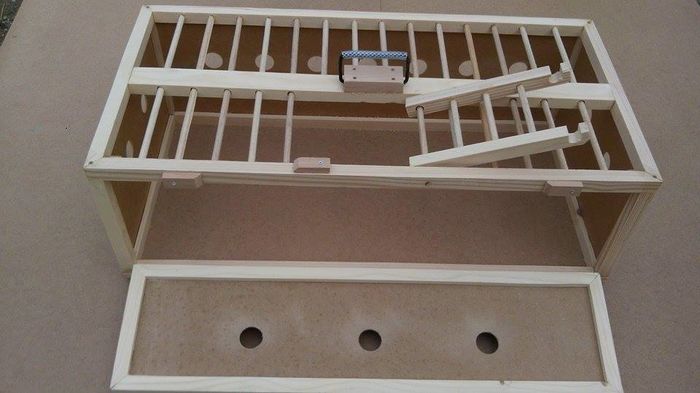 12899933_212165609148737_1231015082_n