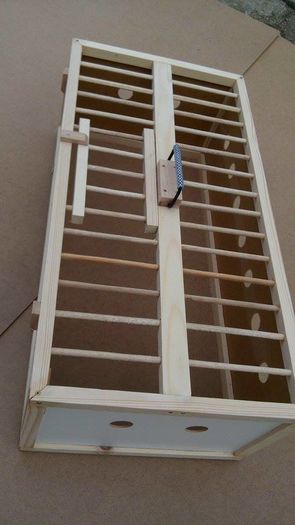 12899959_212165649148733_1953147711_n