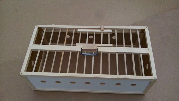 12910303_212165509148747_1956275595_n