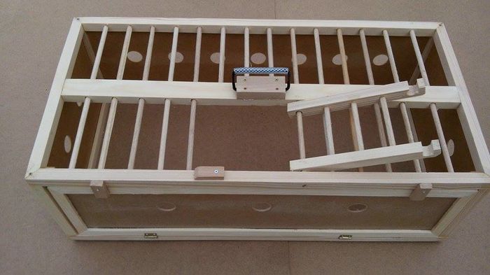 12919032_212165645815400_1431386817_n