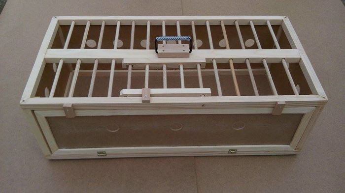 12919183_212165652482066_1872667023_n