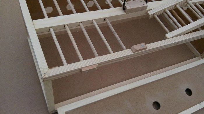 12919266_212165619148736_768378904_n