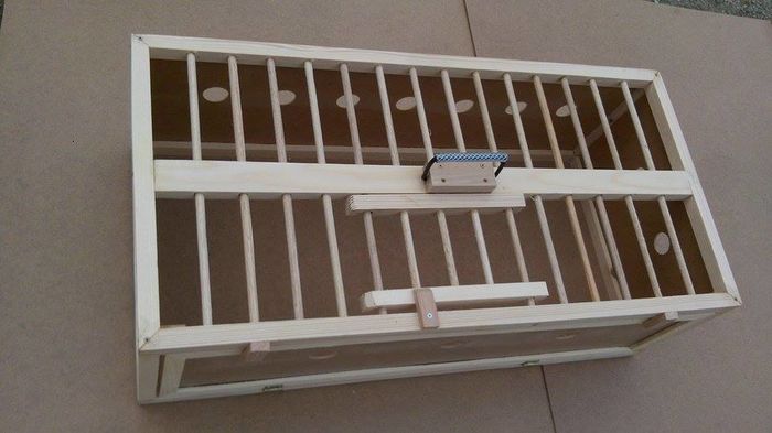 12920900_212165552482076_1702802434_n