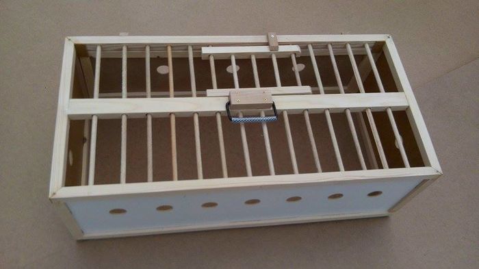 12920913_212165519148746_1067155927_n