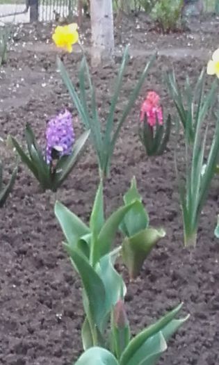 20160330_194018 - Copy