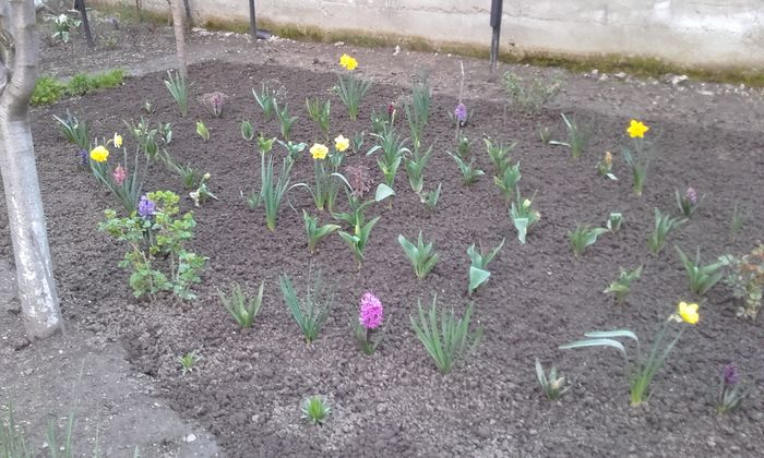 am terminat de facut curatenia de primavara in gradina