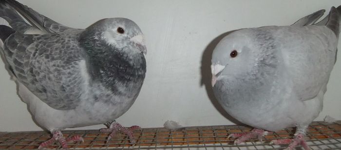 DSCF0164