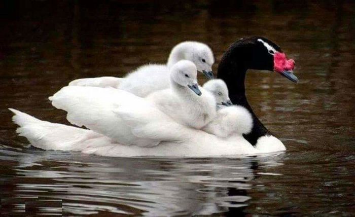 FB_IMG_1459288366362
