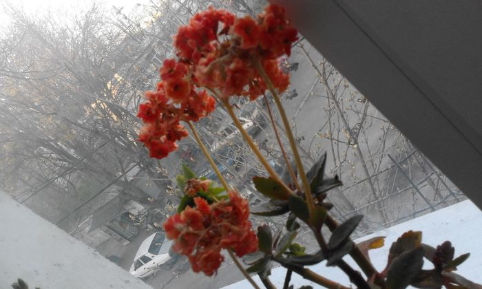 20160331_073937