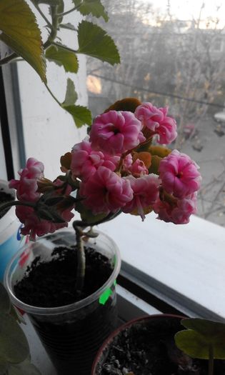 20160331_074006