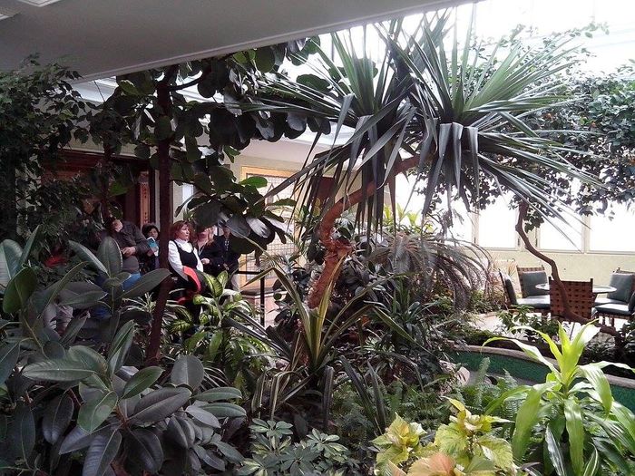 Gradina de iarna  care este o sera care adaposteste plante exotice - In vizita la Palatul Primaverii