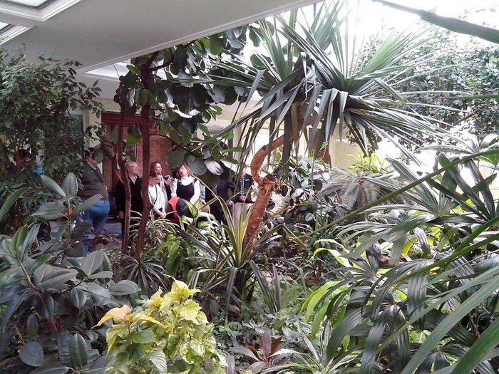 Imagini din sera cu plante exotice Imagini din sera cu plante exotice