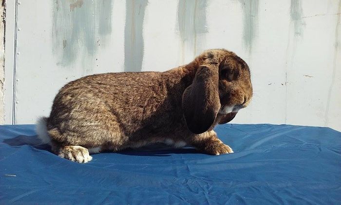 12919246_1120181098012462_1861553354_n