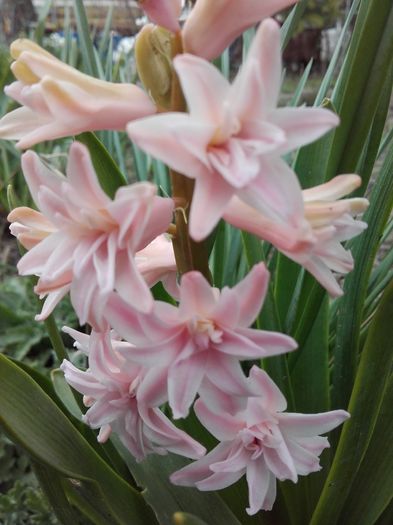 20160329_140225