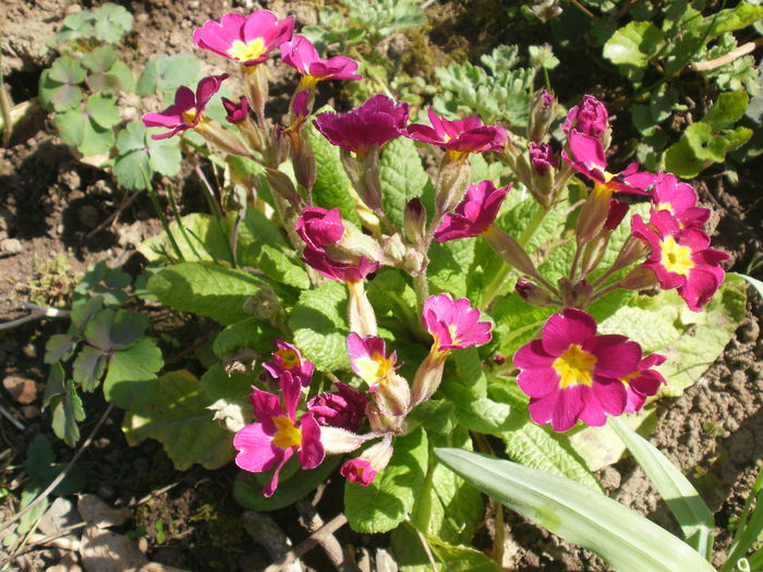 P2290051