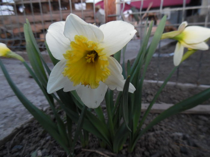 031
