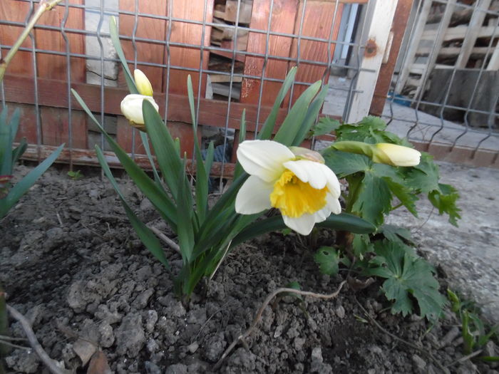 033