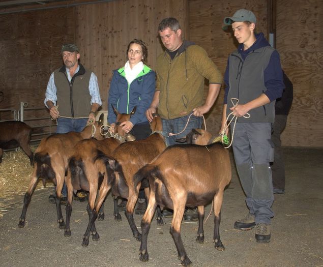 Frumuseti de lapte ca lumea