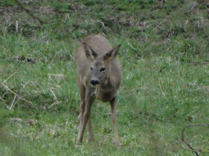 DSC05581