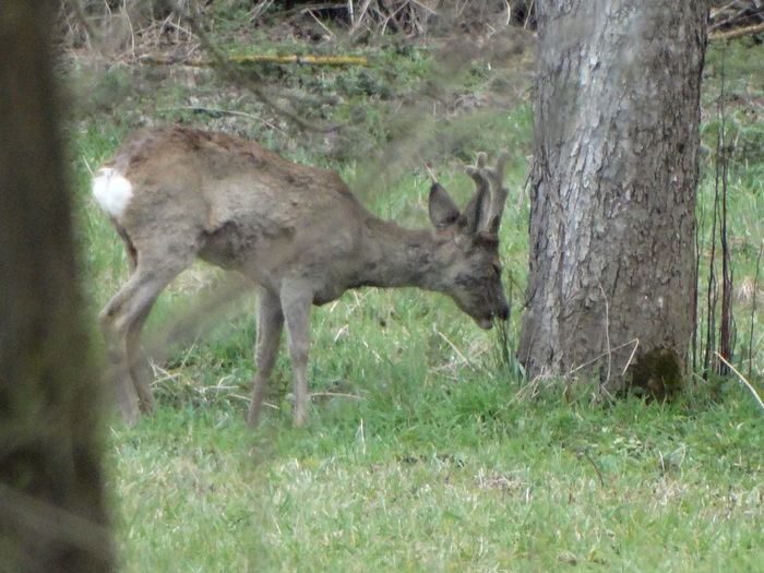 DSC05570