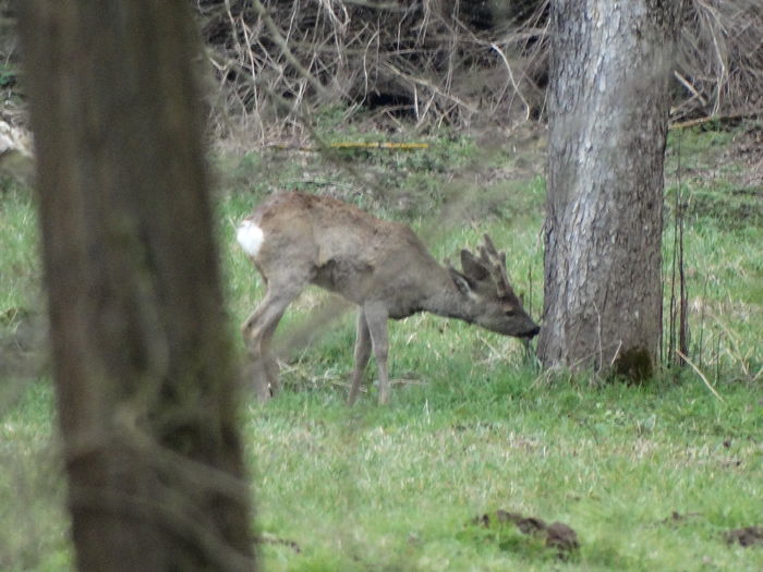 DSC05569 - De prin natura 2016