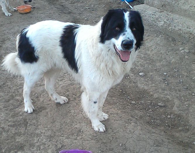 IMG_20160330_192626-1