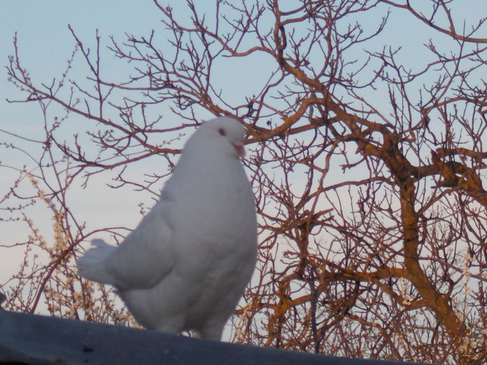 DSCN1465