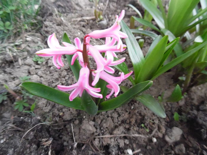 071
