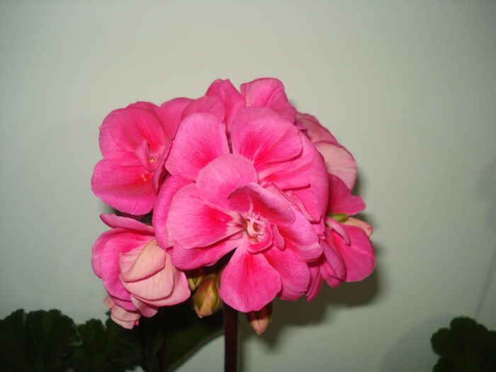 DSC04902