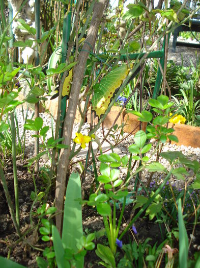DSC00739