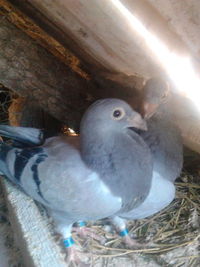 IMG_20160402_144312; PUI 2016
