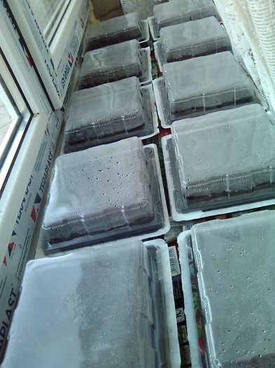 2 aprilie 2016 215; Miniserele in actiune
