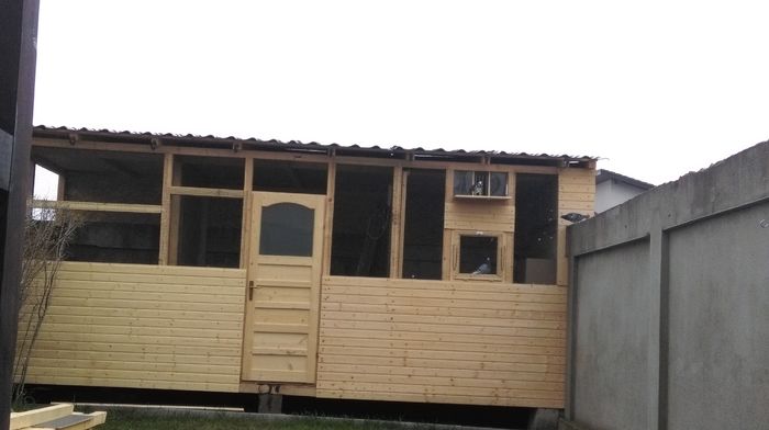 IMAG1925 - Voliera 2015