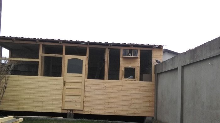 IMAG1924 - Voliera 2015