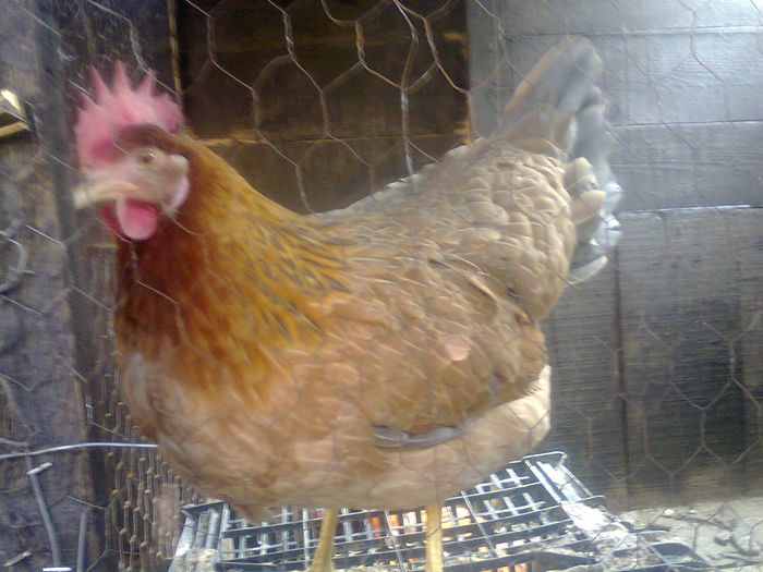 Fotografie1268 - 02 It somon project