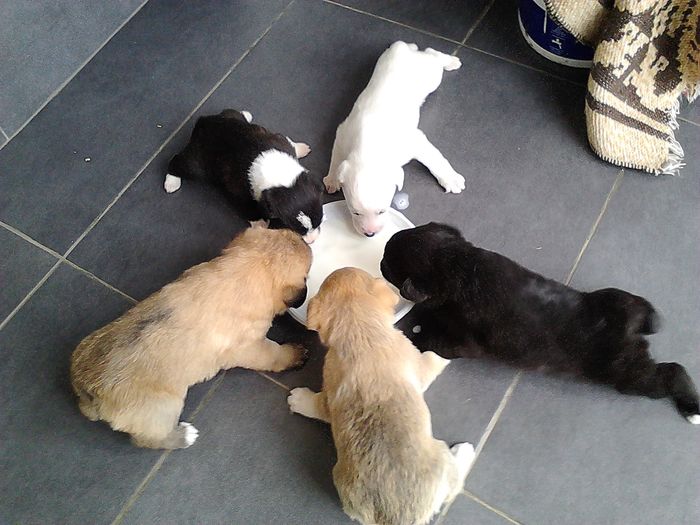 Picture0 011 001; Surpriza de Craciun
