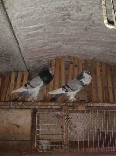FB_IMG_1459673038173