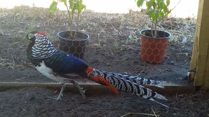 FB_IMG_1459615602680 - 00 Contact