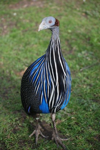 FB_IMG_1459674506776