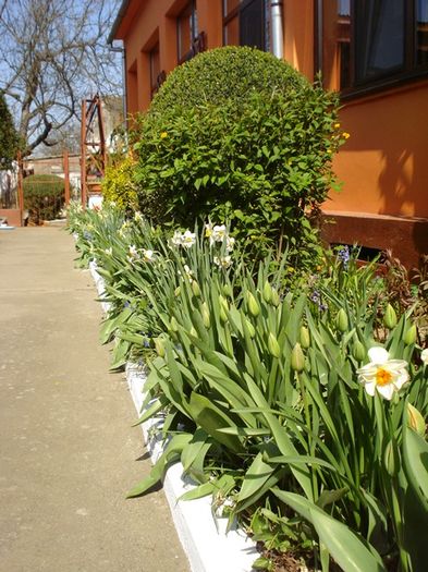 debut de aprilie (19)