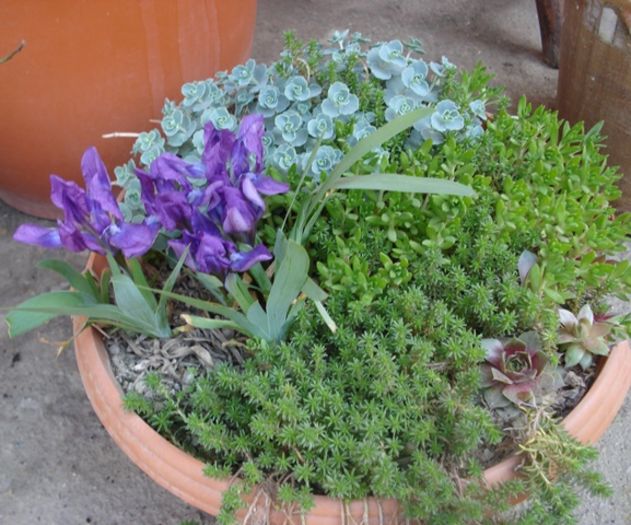 debut de aprilie (25)