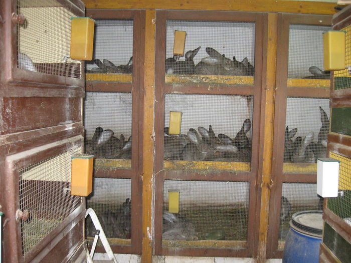 U.G de la knoll Franz