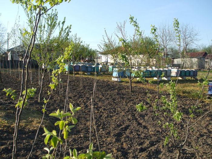 DSCF7028 - 3 aprilie