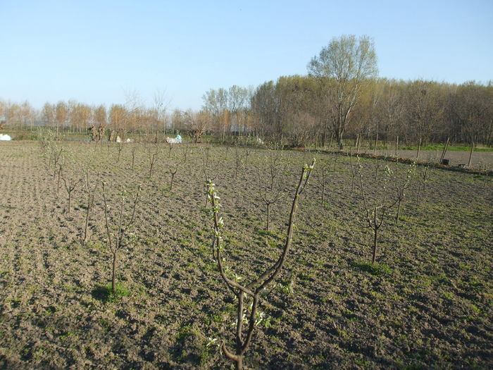 DSCF7029 - 3 aprilie