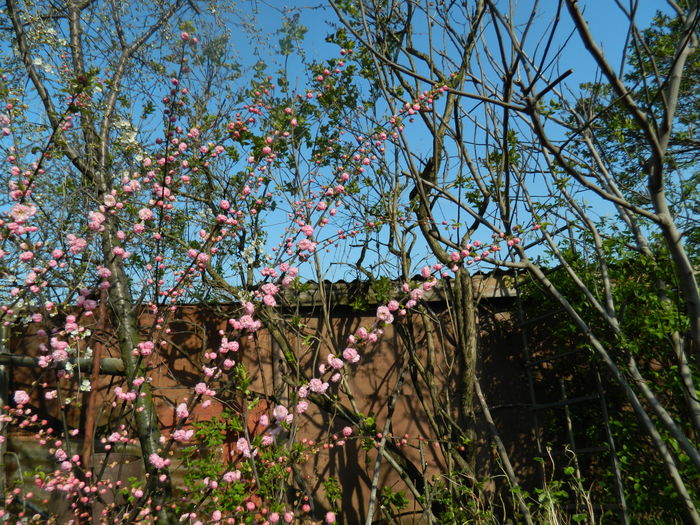 DSCN3277
