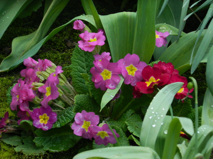 DSCN3373 - 2016 MARTIE 4