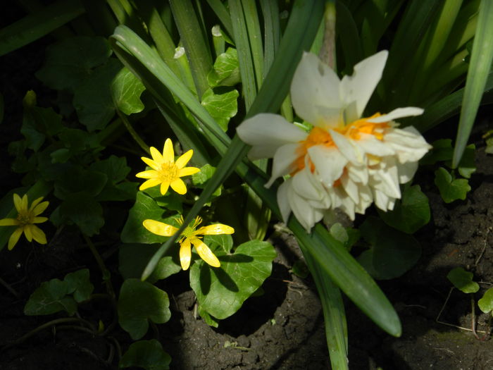 DSCN3385 - 2016 MARTIE 4