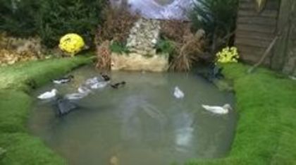 Expozitia europeana Metz Franta - Expozitia Europeana Metz  Franta 2015