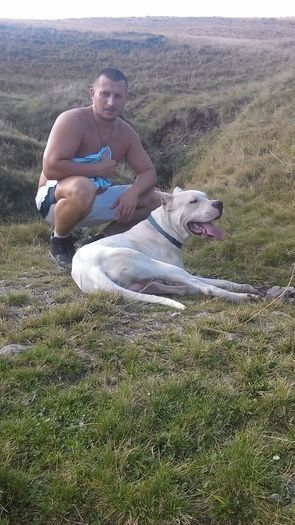 Perro,plimbarea de duminică - Dogo Argentino Perro Pellea Dogo Primera