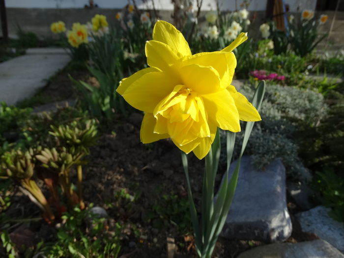 4.04 noutati 2016 - b-primavara-2016